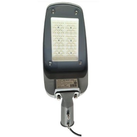Strasseleuchte 60W 4000K°